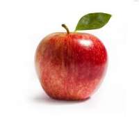 Apple_Pic.jpg